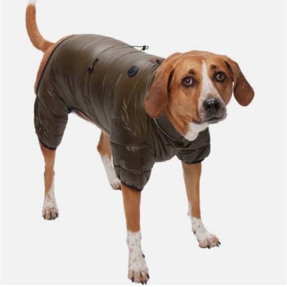 🐶New w/tag PAJAR PUP VINNIE QUILTED DOG SNOW SUIT INSULATED SZ MED CURRENT RED - Picture 9 of 9